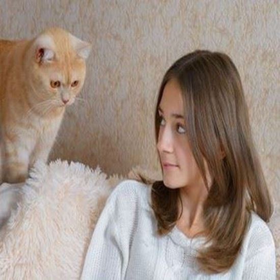 Picture of Kitty Happiness Protocol (with one month trainer support)